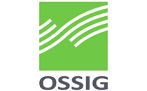Logo von Steuerberater Ossig
